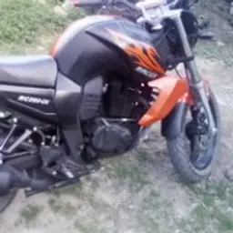 VasekPetrov64