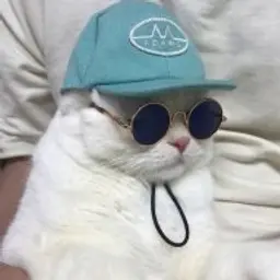 Rigagit