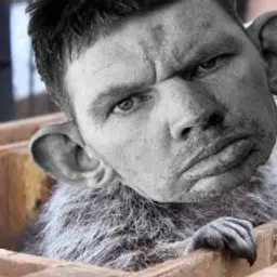 DoNbASSWarrior