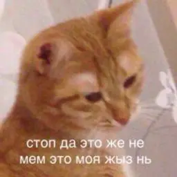 Paha121