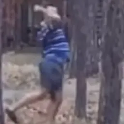 VoMIn