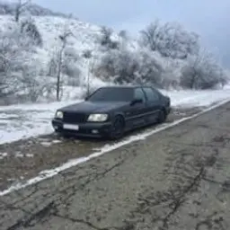Pelmeshka03