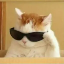Felix01