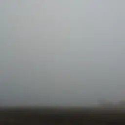1ndscp
