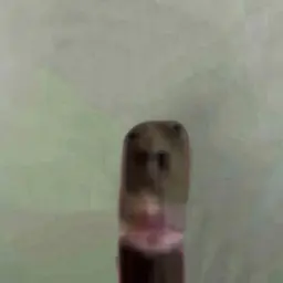 TopVaperPL