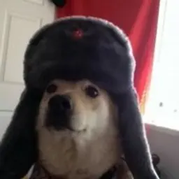 Sjkgowsogjnesjof