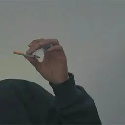 S1RK