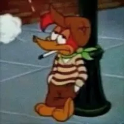 sqdhacker