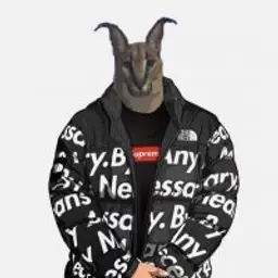 dimonoff_