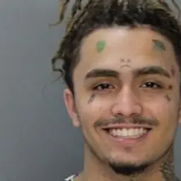 freecsgo313