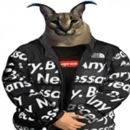 Krivistor1994