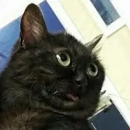 ssvmvrvii