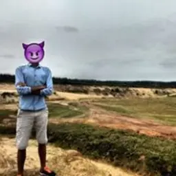 MOPE_inactive708368