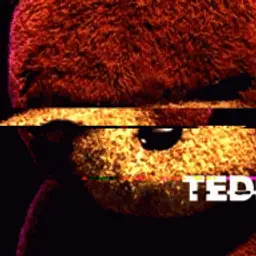 TEDDI*