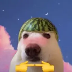 Zhekaa123
