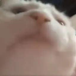 het1