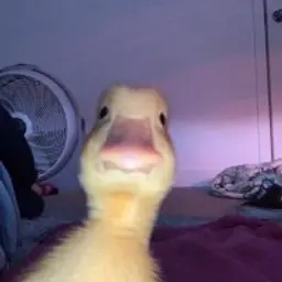 EZ4ME