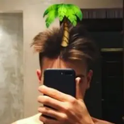 Temach2019