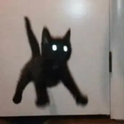 angryskat