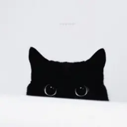 Leika_inactive744226