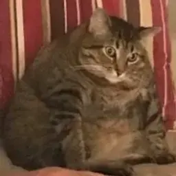 Slagar_inactive686761