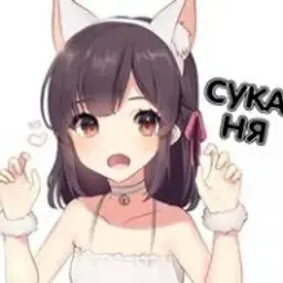 JohnWebm