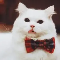 sexix