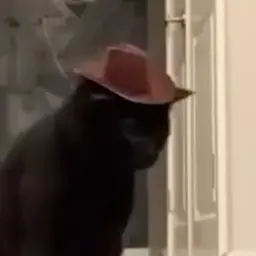 stilv3r