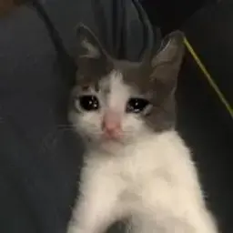 SADGA