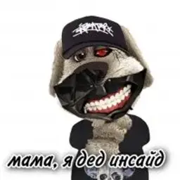 dobdob