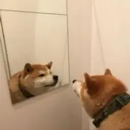 GA1GANxd
