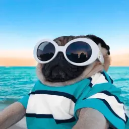 PUG
