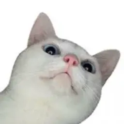 makksgam