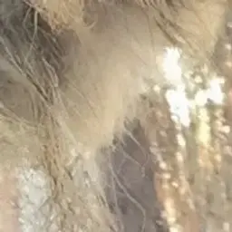 erwfregewgwerg