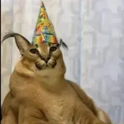 gfdf