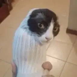 raffinate