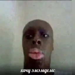 vwwwwvwwvw