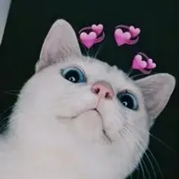 RUSEAGANG