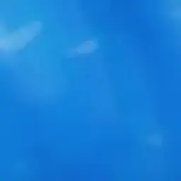 1nvestor_inactive