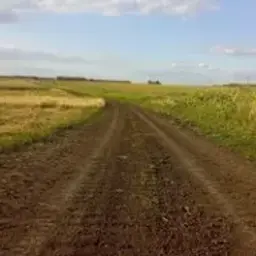 Xlebushek999