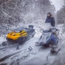 Vlados495