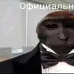 Sjsj
