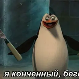 VDima1965