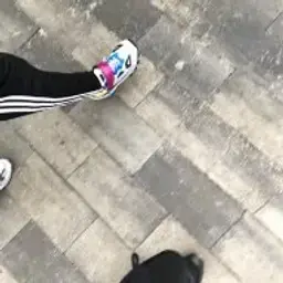 maxtears