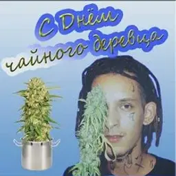 ZhiznLoca