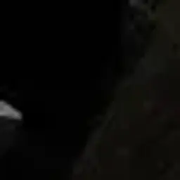 laxiorr