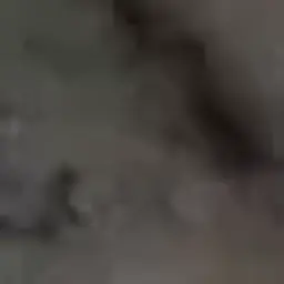 Fistashka_tg