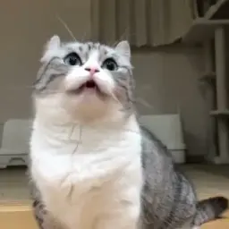 npoctotak