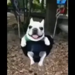 Treanglzz