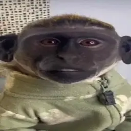 juggcozart
